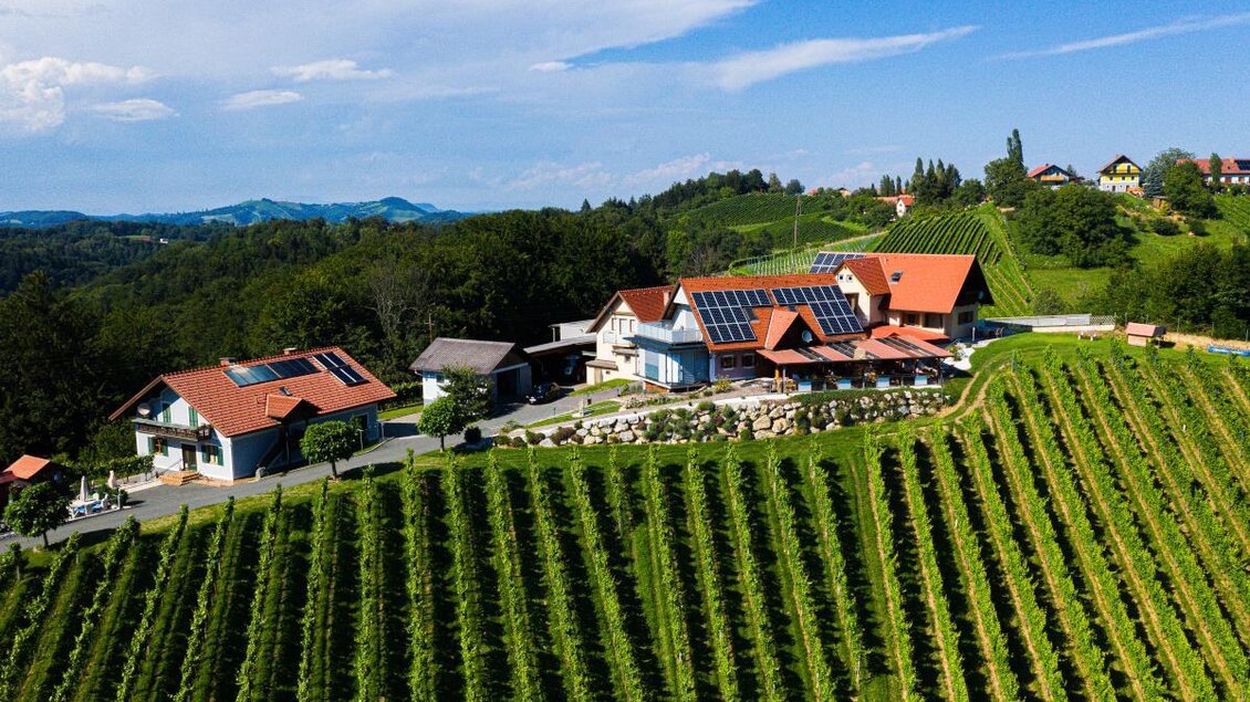 Ein malerisches Weingut mit roten Dächern inmitten von Weinreben. Der Himmel ist blau mit einigen Wolken und die Landschaft ist hügelig. | © Steiner