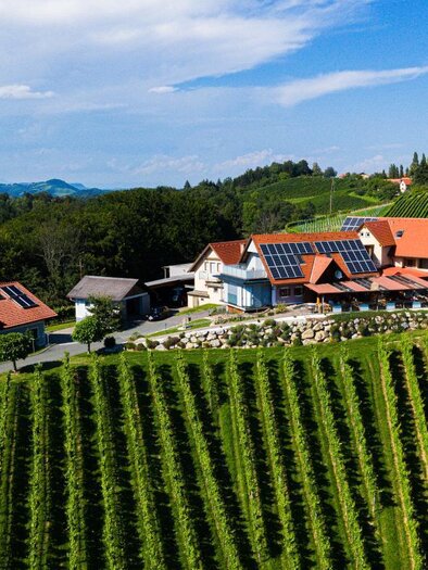 Ein malerisches Weingut mit roten Dächern inmitten von Weinreben. Der Himmel ist blau mit einigen Wolken und die Landschaft ist hügelig. | © Steiner
