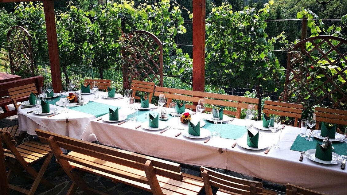 Ein schön gedeckter Tisch unter einem Holzüberhang, umgeben von Weinreben. Die Stühle sind aus Holz und das Ambiente wirkt einladend und freundlich. | © Steiner