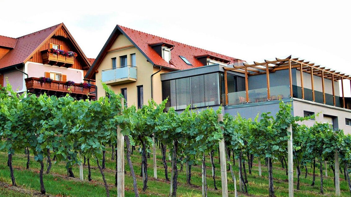 Ein malerischer Weinhang mit Reben und modernen Häusern. Die Architektur kombiniert traditionell und zeitgenössisch. | © Steiner