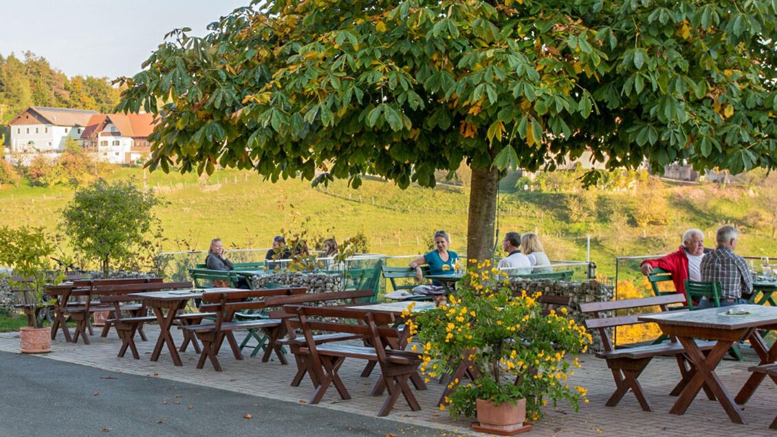 Ein gemütlicher Außenbereich mit Holzbanken und Tischen unter einem großen Baum. Im Hintergrund sind Menschen zu sehen, die die Natur genießen. | © Familie Sternat | Weingut Sternat