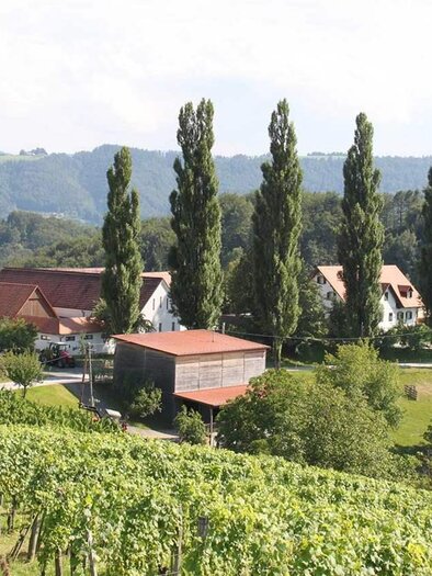 Strablegg | © Weingut Strablegg-Leitner