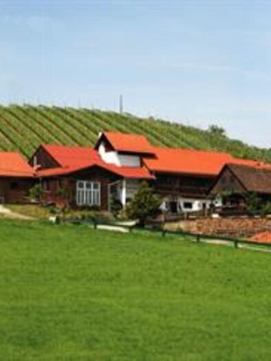 Buschenschank Strohmeier vgl. Teichbauer | © Weingut Strohmeier vlg. Teichbauer