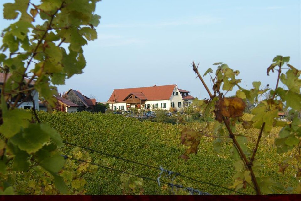 Buschenschank Strohmeier vlg. Trobi - Impression #1 | © Weingut Strohmeier Trobi