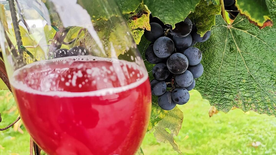 Weingut Tropper | © Weinhof Tropper