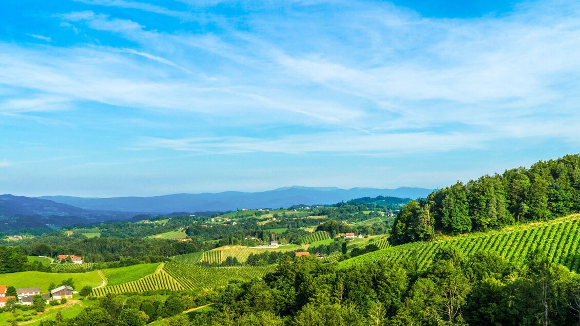 buschenschank_tscheppe_aussicht | © Familie Tscheppe | Weinbau Buschenschank Tscheppe