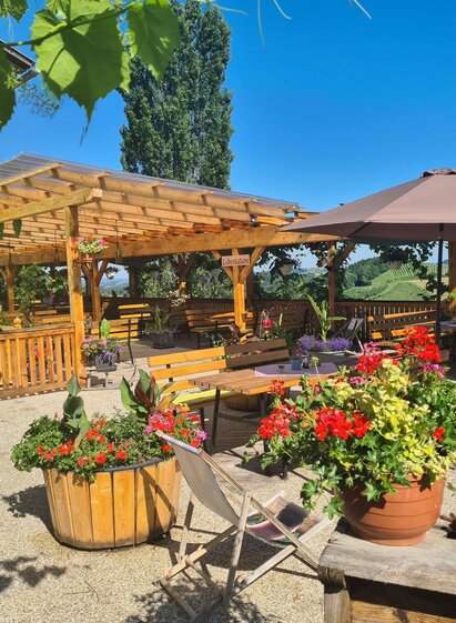 Weingut Wechtitsch2 | © Weingut Wechtitsch | Weingut Wechtitsch | © Weingut Wechtitsch