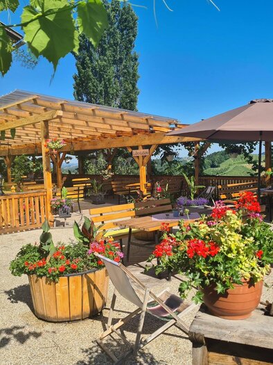 Ein einladender Außenbereich mit bunten Blumen und Holzmöbeln. Der klare Himmel und die Sonnenschirme schaffen eine gemütliche Atmosphäre. | © Weingut Wechtitsch