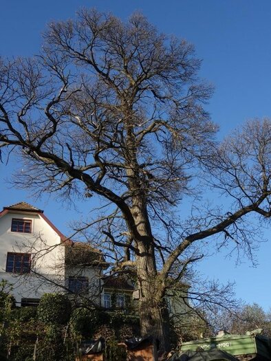Simmler_exterior_Eastern Styria | © Familie Beck