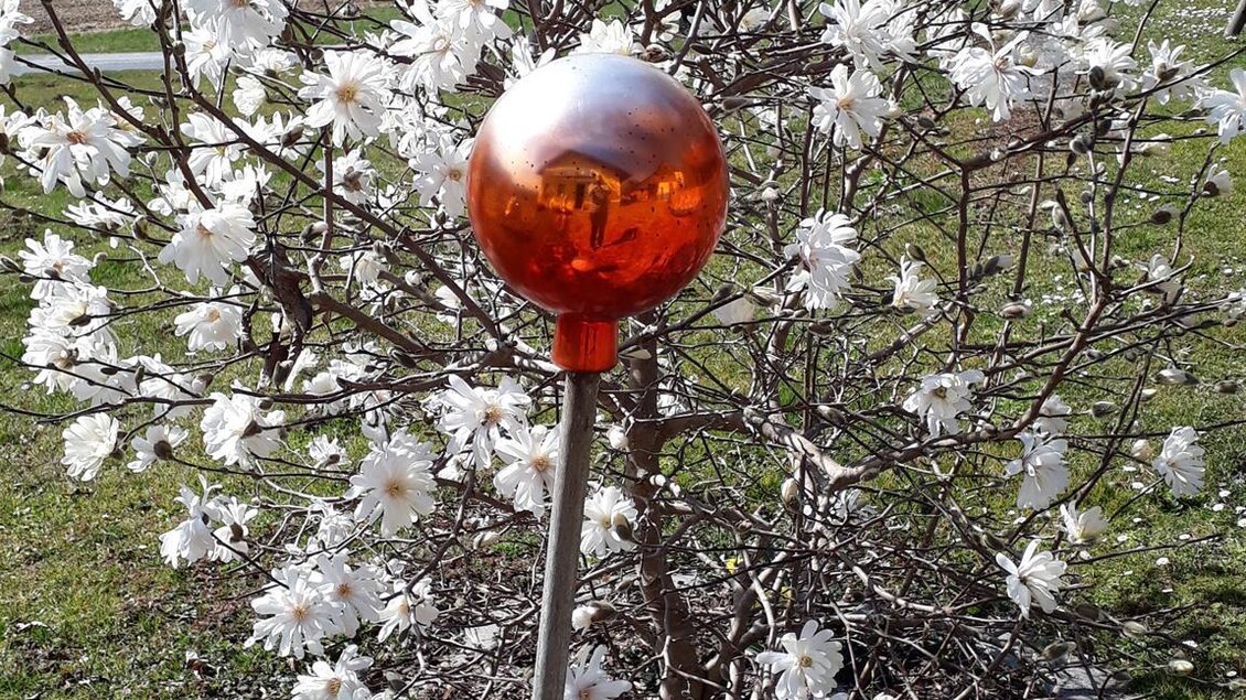 Ein blühender Strauch mit weißen Blüten und einer orangefarbenen Kugel an einem Stab. Im Hintergrund sind sanfte Hügel und ein blauer Himmel zu sehen. | © Andreas Wutti | Weingut Buschenschank Wutti