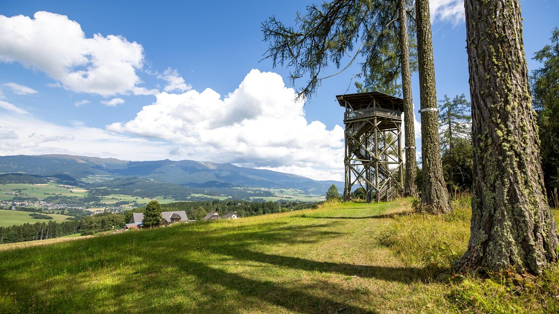 Ein Aussichtsturm steht auf einer Wiese mit Blick auf eine grüne Landschaft und Berge im Hintergrund. Der Himmel ist blau und mit einigen Wolken verziert. | © TV Murau