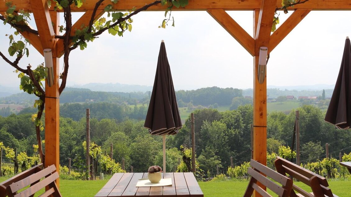 Ein schöner Innenhof mit Holzmöbeln und einem Sonnenschirm. Im Hintergrund sind grüne Hügel und Weinreben zu sehen. | © Weingut & Buschenschank Zweytick | Fam. Zweytick