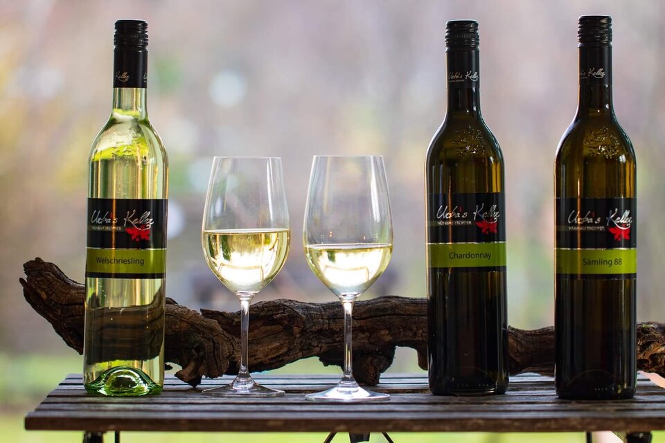 Buschenschank im Urba's Keller - Weinbau Tropper - Impression #1 | © glaMur