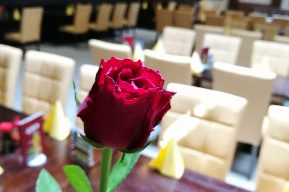 C&C WOK - Impression #1 | © CC Wok