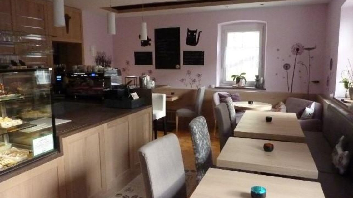 Ein gemütliches Café mit hellen Holzmöbeln und einer freundlichen Atmosphäre. An der Wand sind Pflanzen und Dekorationen zu sehen. | © Cafe Katzengarten