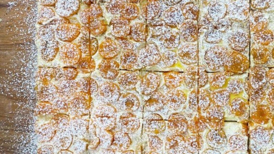 Ein frisch gebackenes Dessert, in quadratische Stücke geschnitten. Es ist mit Puderzucker bestreut und enthält orangefarbene Fruchtstücke. | © Bäckerei-Konditorei Hubmann Josef GmbH