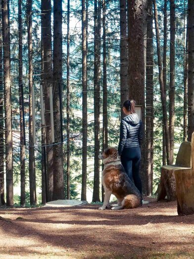 Chakrawanderweg-Pfad1-Murtal-Steiermark | © Fam. Offenbacher | Fam. Offenbacher | © Fam. Offenbacher