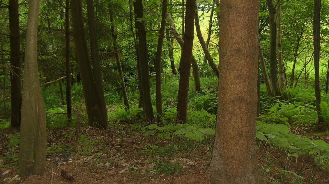 Chakrawanderweg-Pfad3-Murtal-Steiermark | © Familie Offenbacher