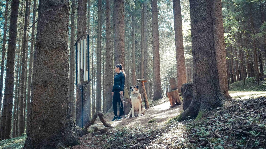 Chakrawanderweg-Pfad4-Murtal-Steiermark | © Fam. Offenbacher