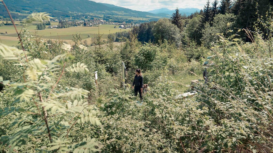 Chakrawanderweg-Pfad5-Murtal-Steiermark | © Fam. Offenbacher