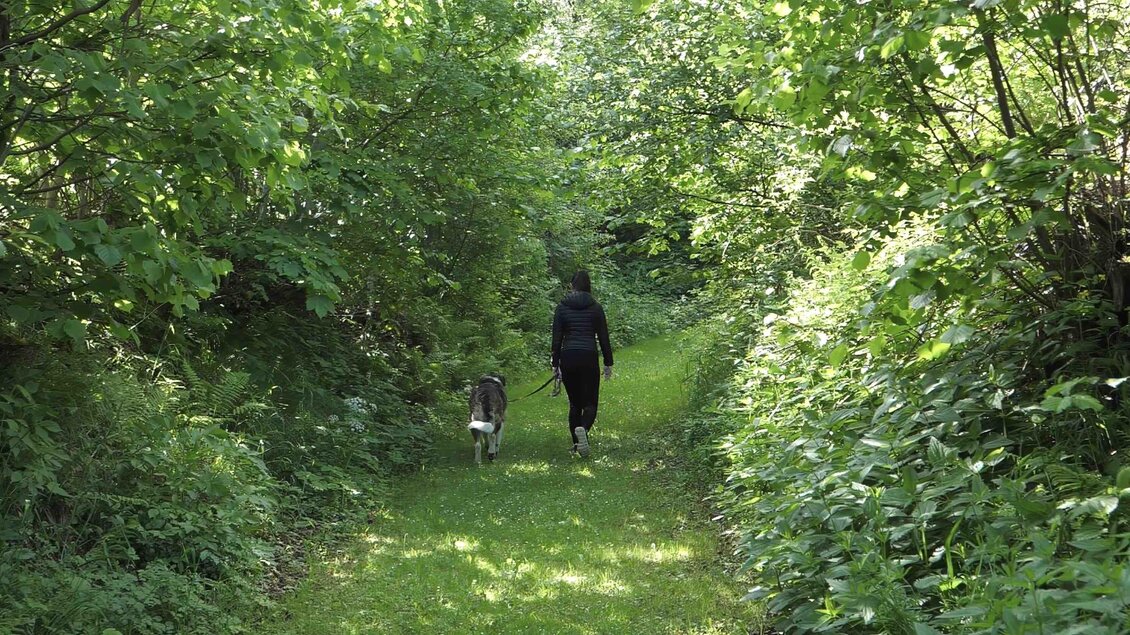 Chakrawanderweg-Pfad7-Murtal-Steiermark | © Fam. Offenbacher