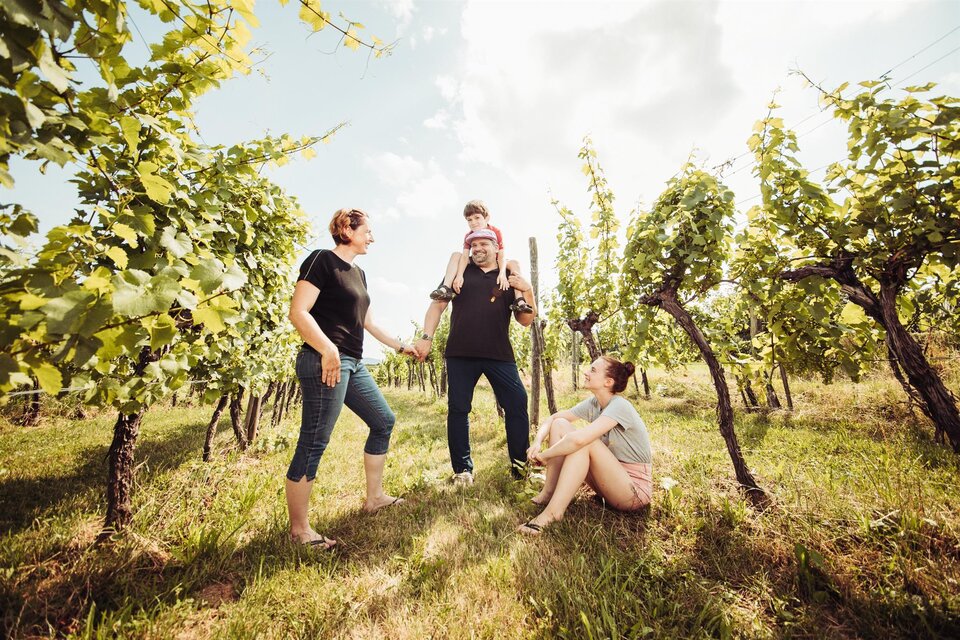 Character wines Josef Scharl in St. Anna/A.
 - Impression #1 | © Weinhof Scharl