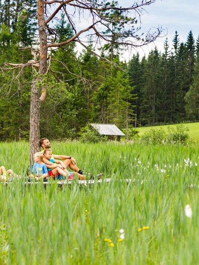 Ausflugsziel Dürnberger Moor | © Tourismusverband Murau