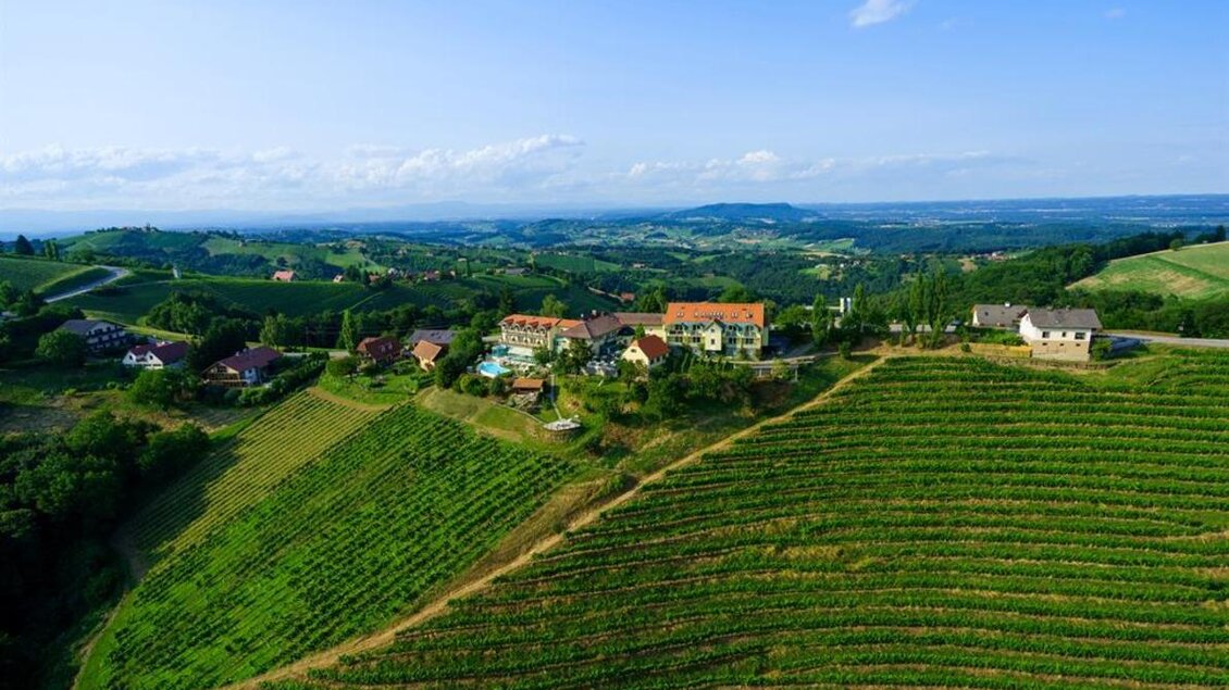 Eine malerische Landschaft mit sanften Hügeln und Weinbergen. Im Hintergrund sind kleine Häuser und ein klarer Himmel zu sehen. | © Das Kappel