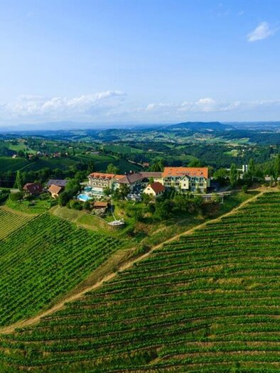 A picturesque landscape with gentle hills and vineyards. In the background, small houses and a clear sky can be seen. | © Das Kappel