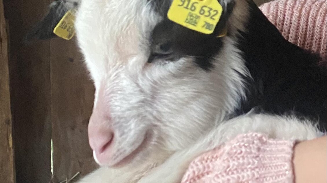 68555343-30AB-4205-A165-7AA8BC530386