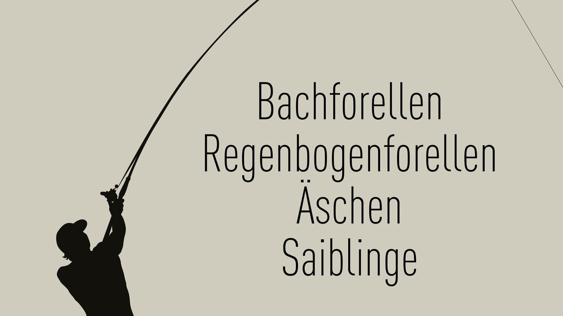 Ein Angler steht am Ufer und wirft seine Angelrute aus. Der Text nennt verschiedene Fischarten: Bachforellen, Regenbogenforellen, Äschen und Saiblinge.