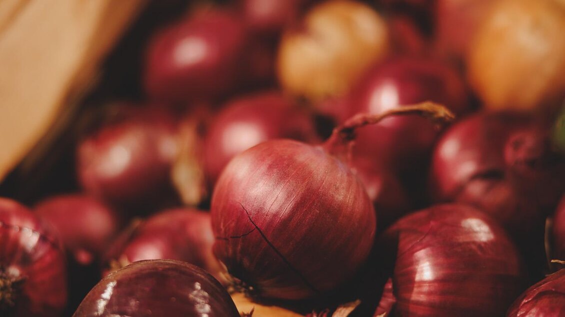 Regionales Gemüse soweit das Auge reicht | © Markthaus Gnas