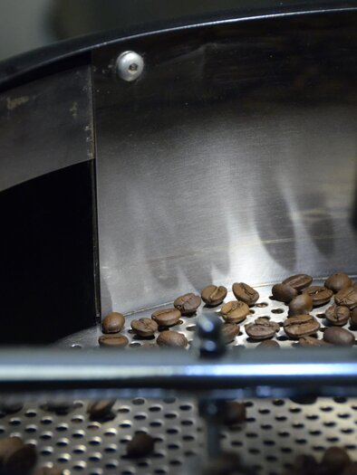 Roasting machines with freshly roasted coffee beans. The beans are resting on a metallic grid.
