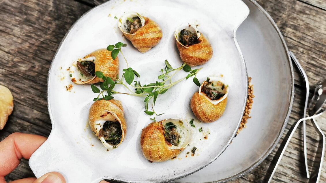 Schnecken von der Biowiese