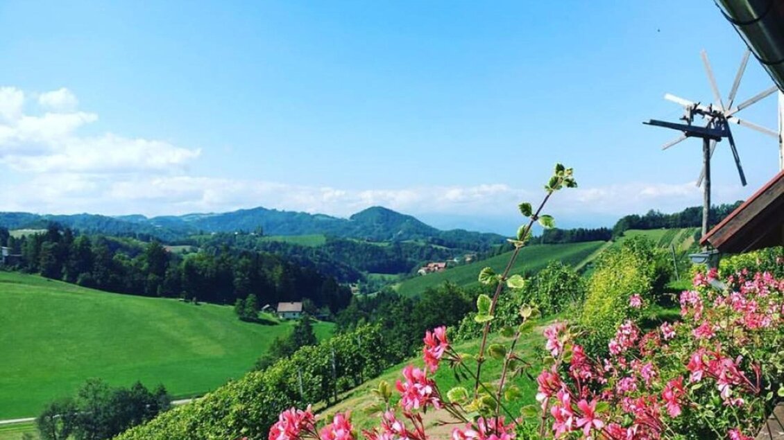 Eine malerische Landschaft mit grünen Wiesen und sanften Hügeln. Bunte Blumen blühen vor einem klaren, blauen Himmel. | © Fam. Hernach | Der Hermannhof