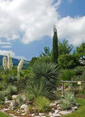 The desert garden_garden1_eastern Styria | © Der Wüstengarten | © Der Wüstengarten