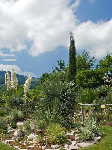 Der Wüstengarten_Garten1_Oststeiermark | © Der Wüstengarten