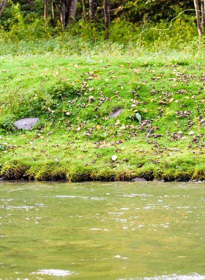 Die Bäche von Oberwölz | René Hochegger | © Tourismusverband Murau