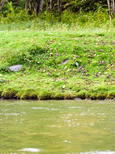 Die Bäche von Oberwölz | © Tourismusverband Murau