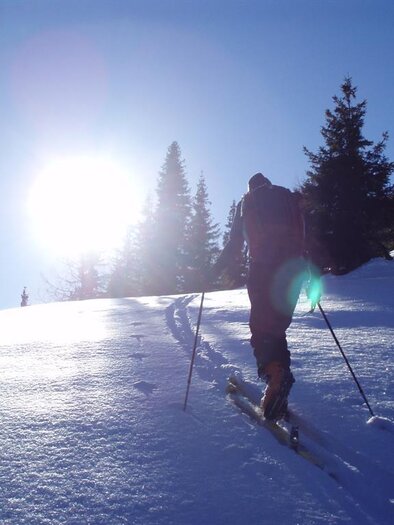 Ein Skifahrer, der einen verschneiten Hang hinaufgeht. Im Hintergrund scheint die Sonne durch die Bäume. | © Gundula Tackner