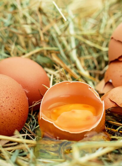 Eierhütte-Spielberg-Eier-Murtal-Steiermark | Pixabay | © Pixabay