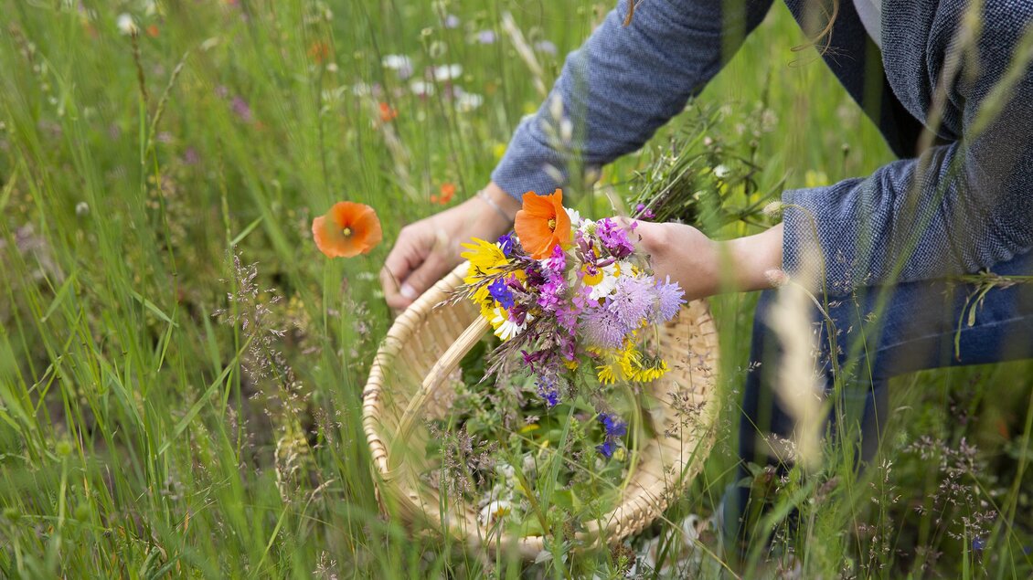 Wildkräuterspaziergang 5 | © Tina Rosenkranz