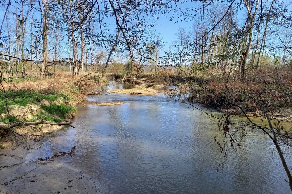 The Lafnitz and its floodplains - Impression #1 | © Sonja Brünner