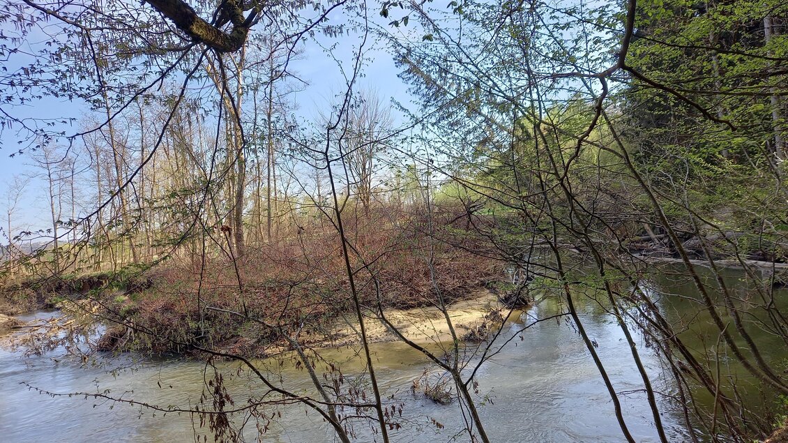 Lafnitz mäandert | © Sonja Brünner