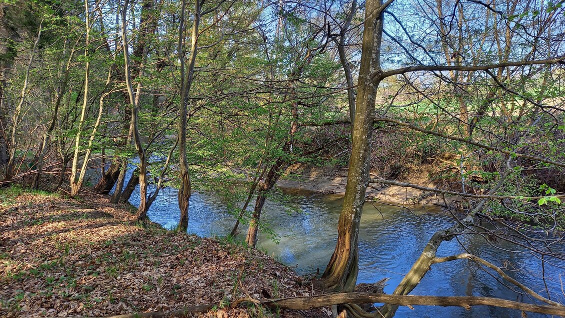 Ruhe am Lafnitzufer | © Sonja Brünner