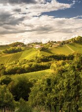 Panorama Weinstraße | © Steiermark Tourismus | Wolfgang Jauk | Wolfgang Jauk | © Steiermark Tourismus | Wolfgang Jauk