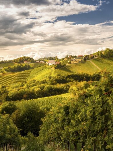 Panorama Weinstraße | © Steiermark Tourismus | Wolfgang Jauk