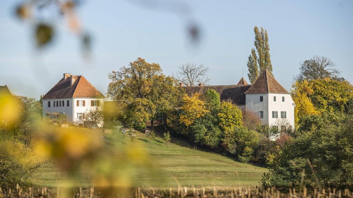Blick auf Schloss Welsdorf | © Schlösserstraße