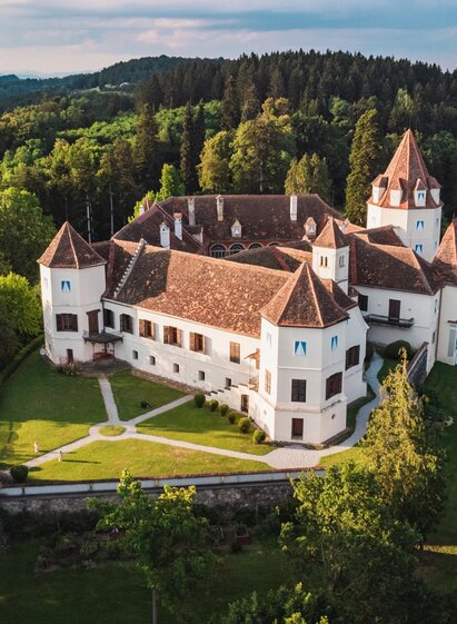 Schloss Kornberg von oben | Matthew Nelson | © Thermen- & Vulkanland