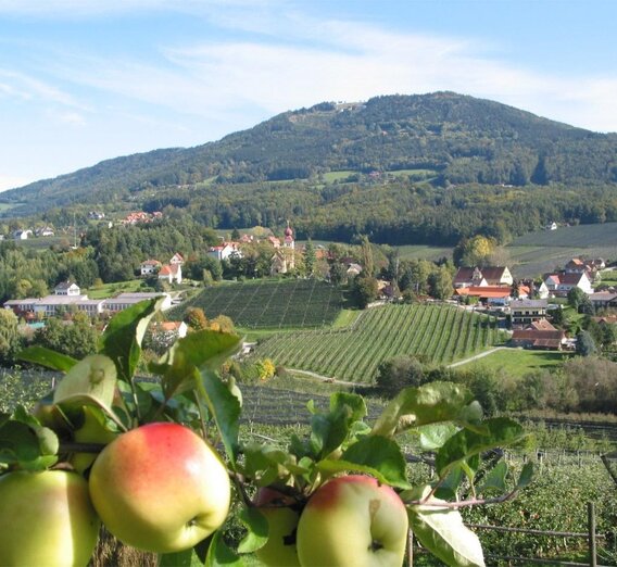 apple_street_location_view_eastern_styria | © Tourismusverband Oststeiermark | Walter Schneider | © Tourismusverband Oststeiermark